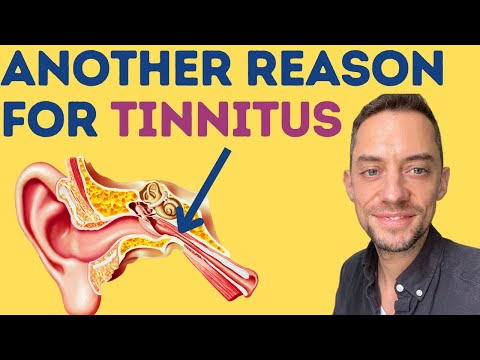 Read more about the article Is this causing your TINNITUS?- Eustachian Tube Dysfunction